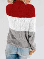 Color Block Chunky Batwing Sleeve Turtleneck Sweater