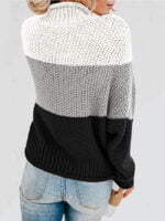 Color Block Chunky Batwing Sleeve Turtleneck Sweater