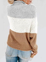 Color Block Chunky Batwing Sleeve Turtleneck Sweater