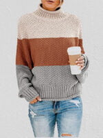 Color Block Chunky Batwing Sleeve Turtleneck Sweater