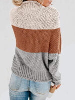 Color Block Chunky Batwing Sleeve Turtleneck Sweater