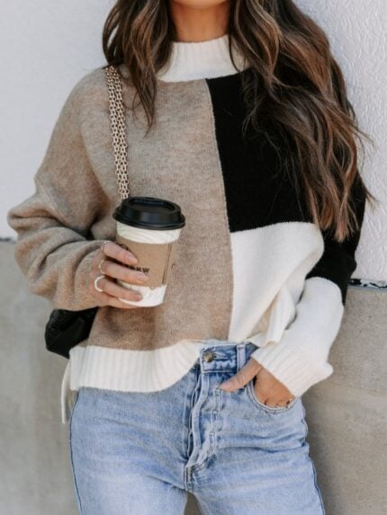 Color Block Paneled Crew Neck Sweater