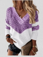 Colorblock Striped Leopard Print V-neck Sweater