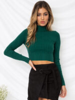 Half High Collar Knit Slim Long Sleeve Top