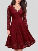 Lace V-neck long sleeve dress