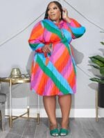 Plus Irregular Stripe Print Pleated Dress