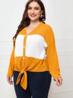 Plus V-Neck Colorblock Button Casual Top