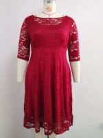 Solid Lace Elegant Crew Neck Dress