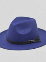 Solid color elegant hat