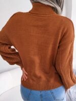 Turtleneck Twist Lantern Sleeve Sweater