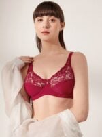 Wholesale Sexy Lace Paneled Underwired Bra