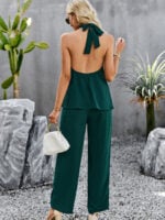 Wholesale Elegant Halter Neck Backless Two-Piece Set