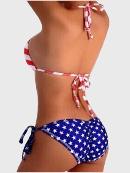 Wholesale Sexy American Flag Color Block Bikini